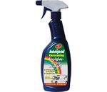 Karipol Caravan Wohnwagen Boote Acrylglas Acrylscheibenreiniger 750 ml